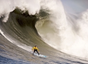 开云体育官方网站-F1新赛季揭幕战，速度与策略的博弈，公牛淘汰鹈鹕的赛场启示